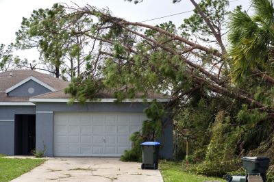 Storm Damage Tree Debris